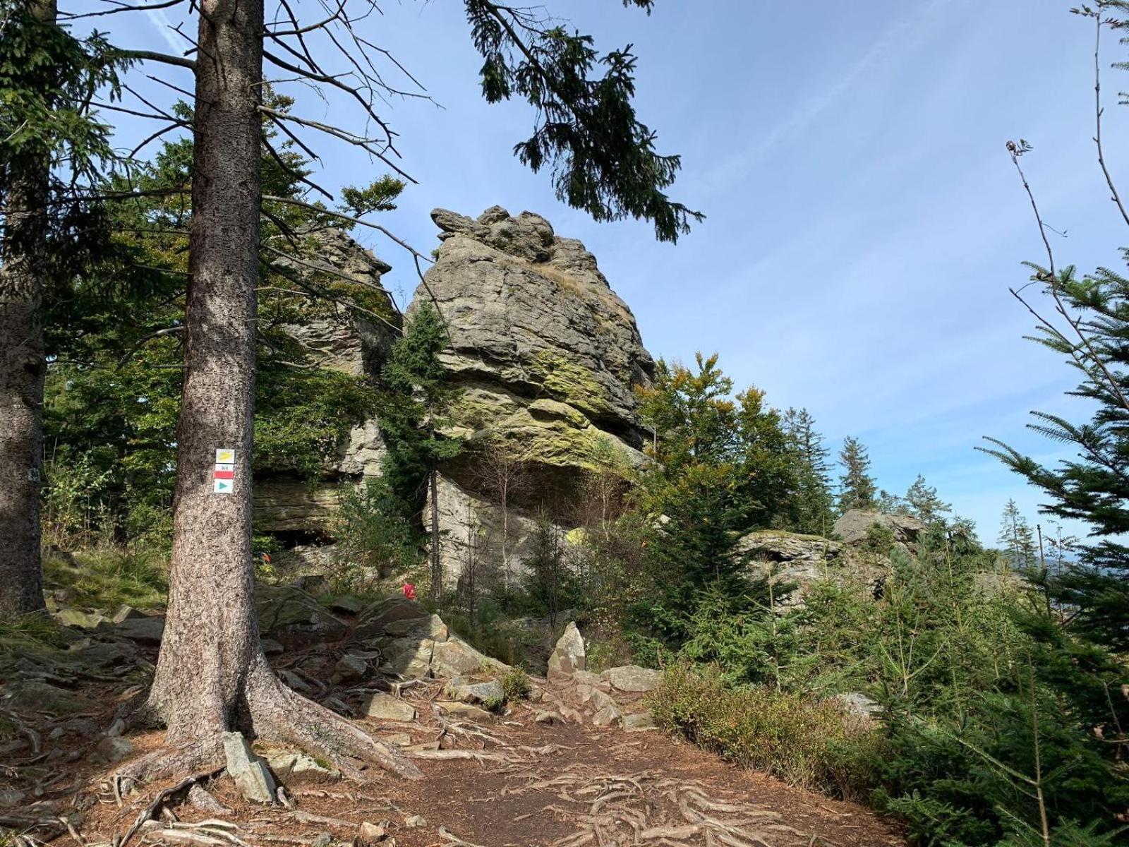 Fewo H.Reusswig Arrach Exterior photo